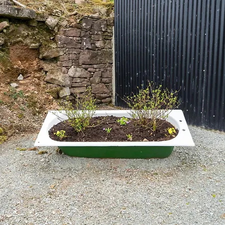 Fairy Farm * 米切尔斯敦