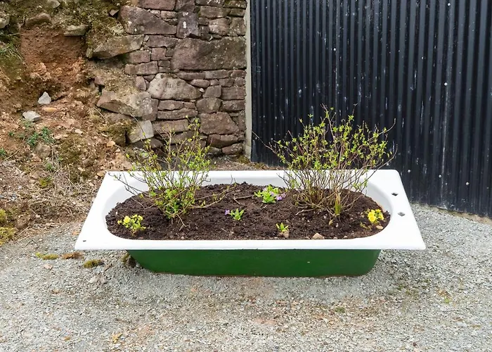 Fairy Farm * Mitchelstown